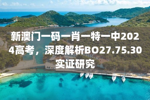 新澳门一码一肖一特一中2024高考，深度解析BO27.75.30实证研究