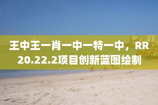 王中王一肖一中一特一中，RR20.22.2项目创新蓝图绘制