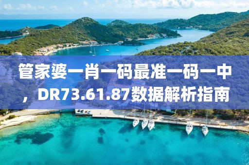 管家婆一肖一码最准一码一中，DR73.61.87数据解析指南