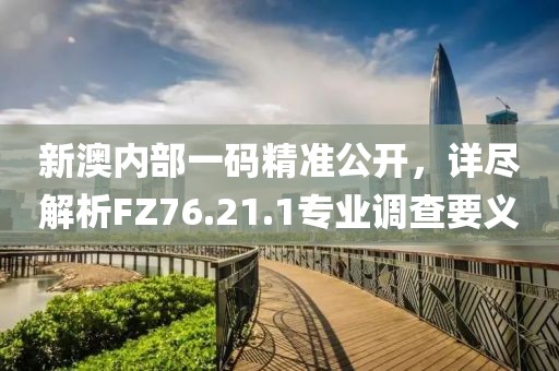新澳内部一码精准公开，详尽解析FZ76.21.1专业调查要义