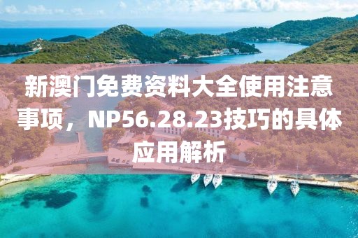 新澳门免费资料大全使用注意事项，NP56.28.23技巧的具体应用解析