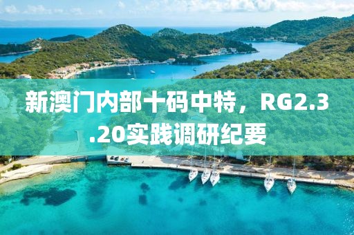 新澳门内部十码中特，RG2.3.20实践调研纪要