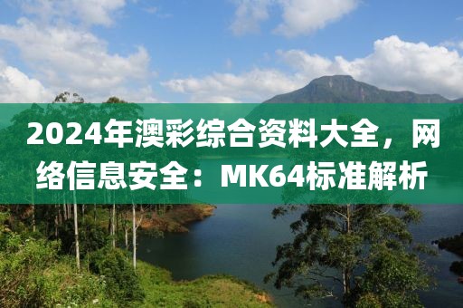 2024年澳彩综合资料大全，网络信息安全：MK64标准解析