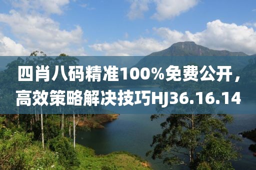 四肖八码精准100%免费公开，高效策略解决技巧HJ36.16.14