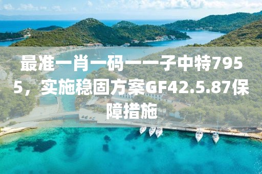 最准一肖一码一一子中特7955，实施稳固方案GF42.5.87保障措施