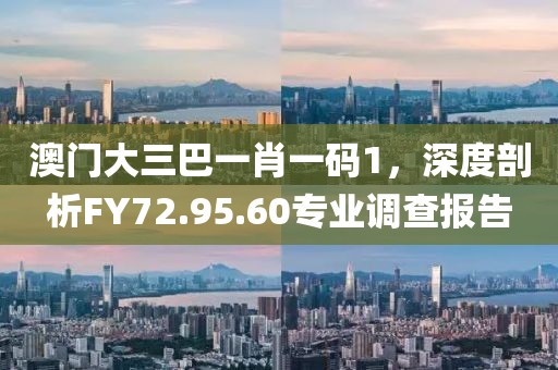 澳门大三巴一肖一码1，深度剖析FY72.95.60专业调查报告