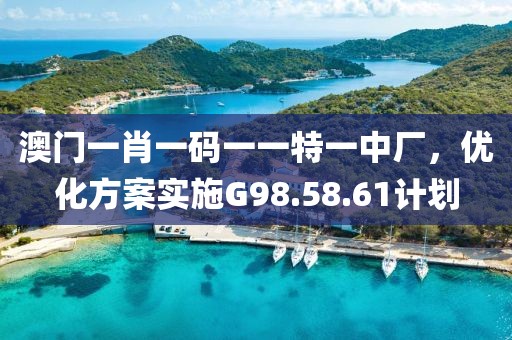 澳门一肖一码一一特一中厂，优化方案实施G98.58.61计划