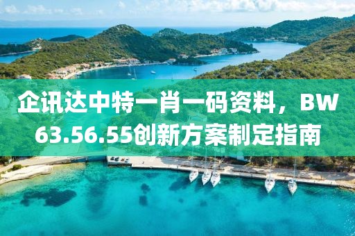 企讯达中特一肖一码资料，BW63.56.55创新方案制定指南