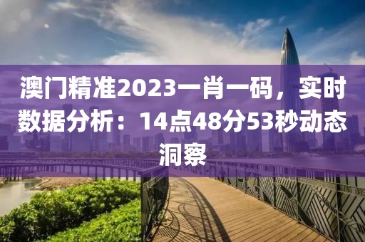 澳门精准2023一肖一码，实时数据分析：14点48分53秒动态洞察