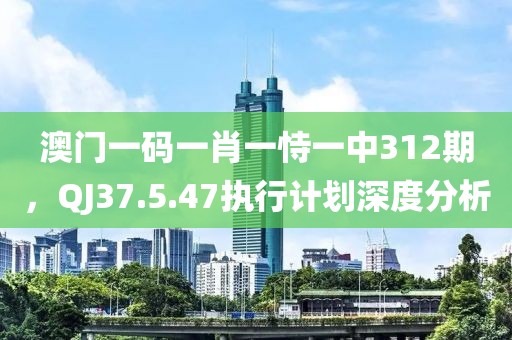 澳门一码一肖一恃一中312期，QJ37.5.47执行计划深度分析