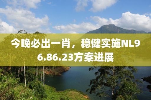 今晚必出一肖，稳健实施NL96.86.23方案进展