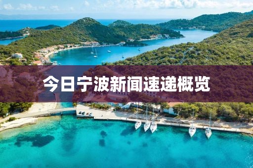 今日宁波新闻速递概览