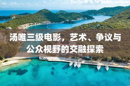 汤唯三级电影，艺术、争议与公众视野的交融探索
