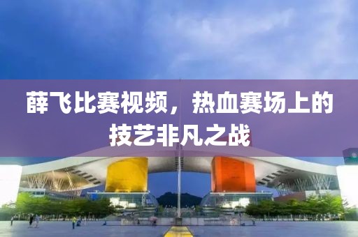薛飞比赛视频，热血赛场上的技艺非凡之战