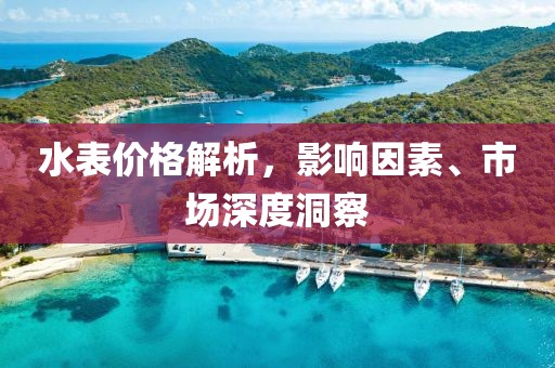 水表价格解析，影响因素、市场深度洞察