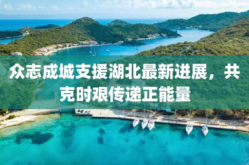 众志成城支援湖北最新进展，共克时艰传递正能量