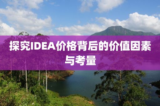 探究IDEA价格背后的价值因素与考量