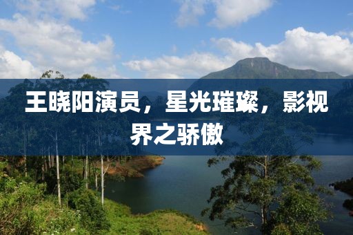 王晓阳演员，星光璀璨，影视界之骄傲
