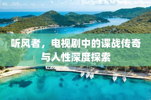 听风者，电视剧中的谍战传奇与人性深度探索