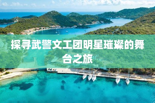 探寻武警文工团明星璀璨的舞台之旅