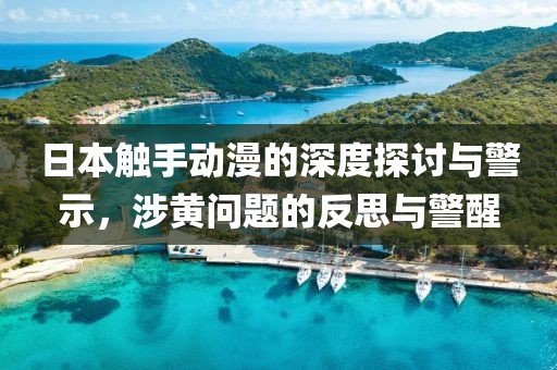 日本触手动漫的深度探讨与警示，涉黄问题的反思与警醒
