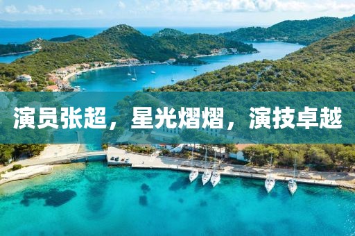 演员张超，星光熠熠，演技卓越