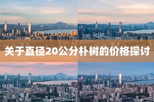 关于直径20公分朴树的价格探讨