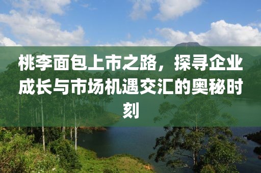 桃李面包上市之路，探寻企业成长与市场机遇交汇的奥秘时刻