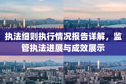 执法细则执行情况报告详解，监管执法进展与成效展示