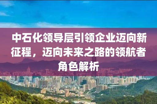中石化领导层引领企业迈向新征程，迈向未来之路的领航者角色解析