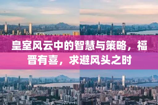 皇室风云中的智慧与策略，福晋有喜，求避风头之时