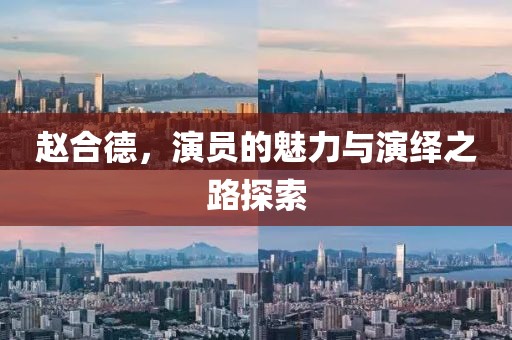 赵合德，演员的魅力与演绎之路探索