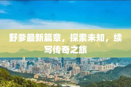而不世故 第17页