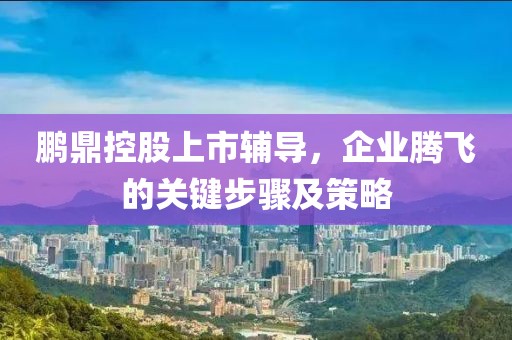 鹏鼎控股上市辅导，企业腾飞的关键步骤及策略