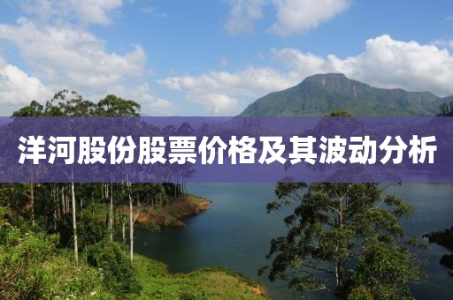 洋河股份股票价格及其波动分析