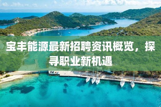 宝丰能源最新招聘资讯概览，探寻职业新机遇