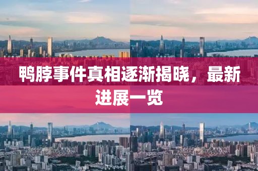 鸭脖事件真相逐渐揭晓，最新进展一览