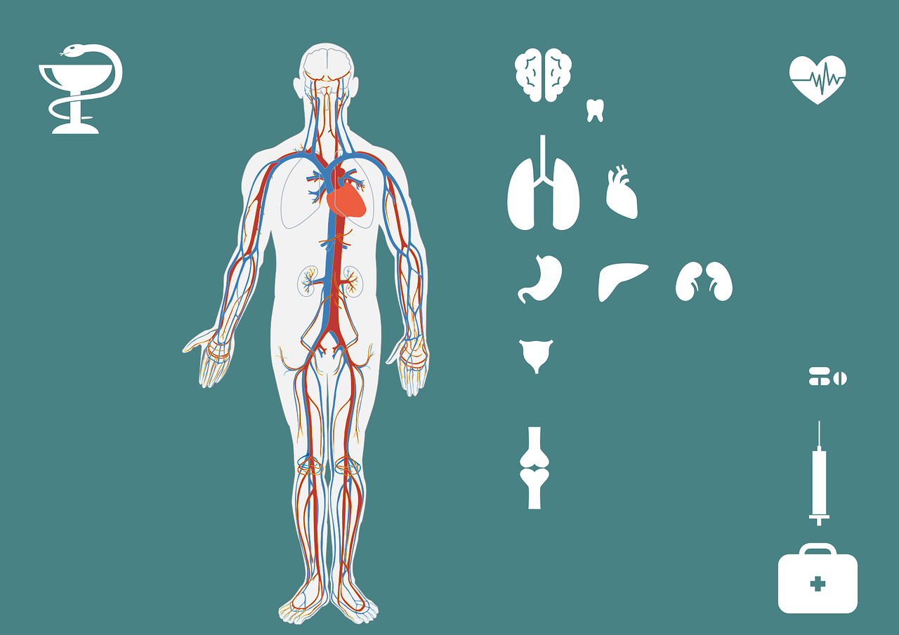 最新风热病研究揭秘，成因、症状与治疗方法探讨