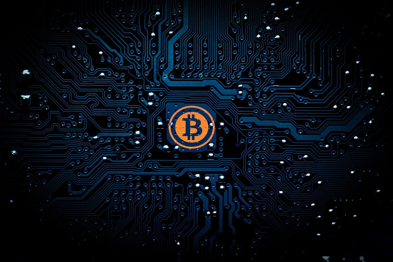 摩尔庄园密码最新揭秘，探索虚拟世界的宝藏之旅