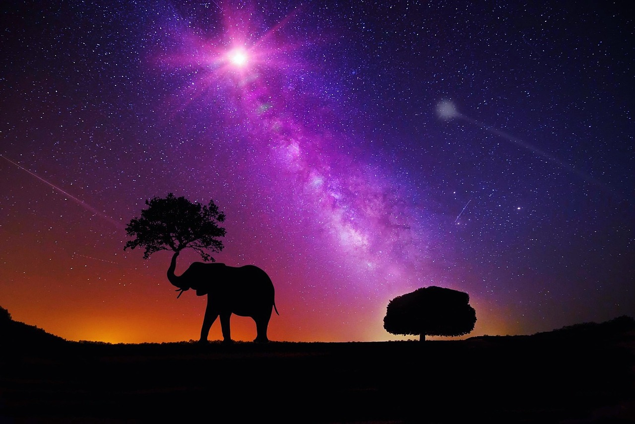 开门大吉明星专场，星光熠熠，梦想启航之夜
