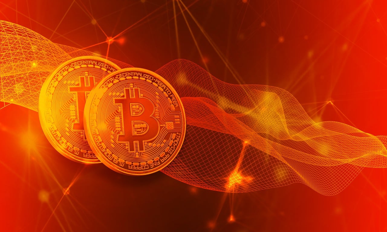 领投鸟最新动态，引领数字金融新时代的启航者