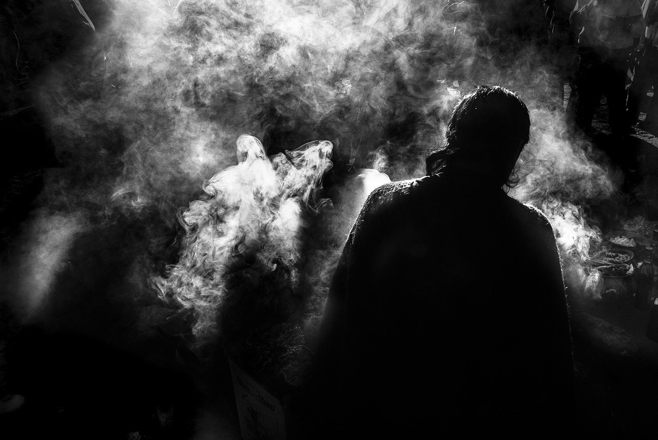 揭秘血狼王最新动态，神秘势力的崛起与广泛影响