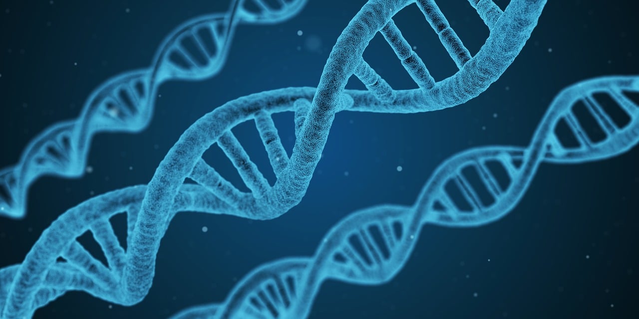 长生生物上市历程解析，何时上市？揭秘其上市历程