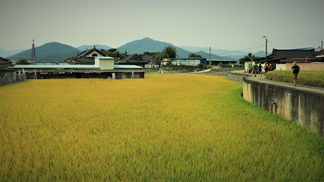 平胸小欧巴 第10页