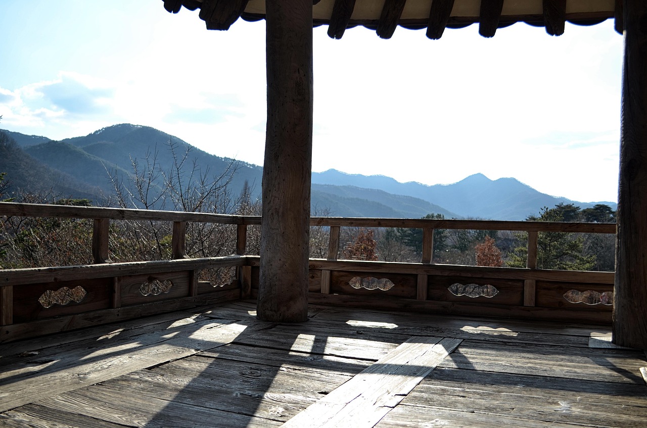 最新古装电视剧，重塑历史风貌的艺术瑰宝展现风采