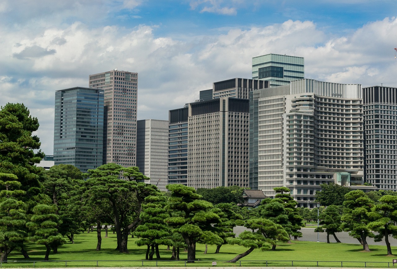 爱城IP地址更新，数字时代的城市新面貌探索