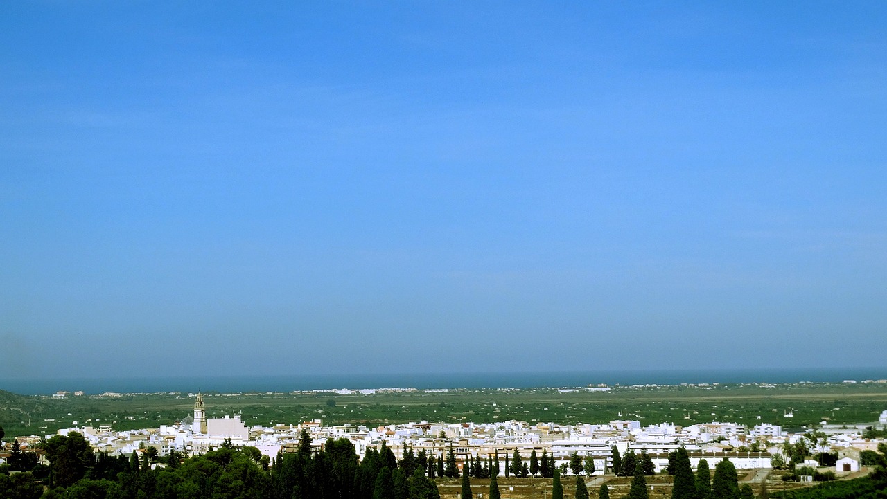 洞悉市场动态与商品价值，最新价格表概览