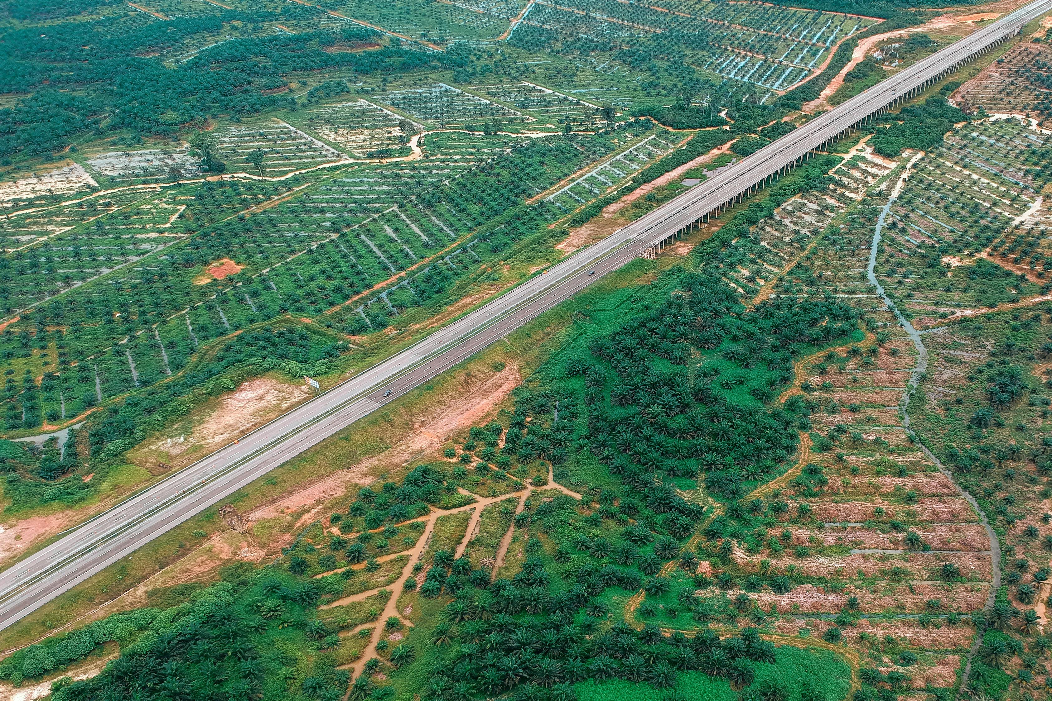 航空港区尉氏县最新发展规划解析与研究报告