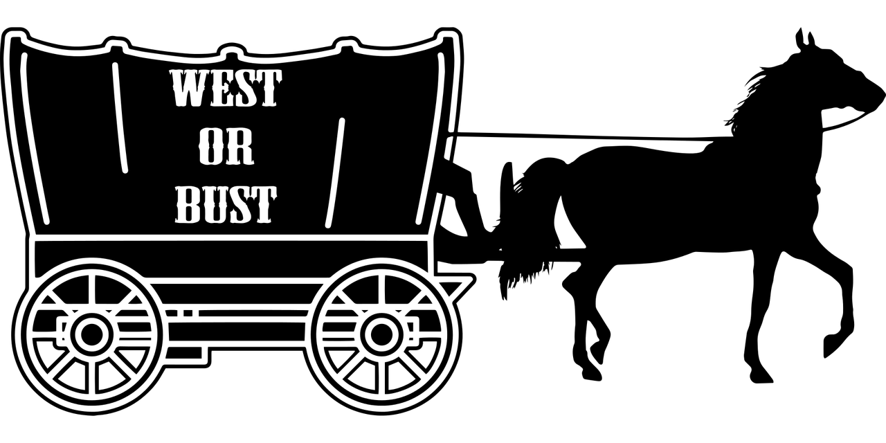 王中王最新资讯，引领时代先锋，掌握前沿动态