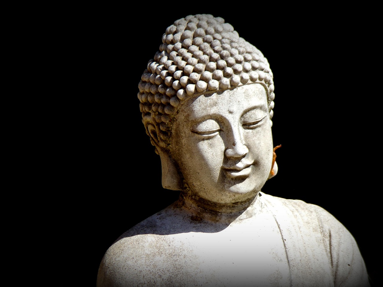 佛陀电视剧全集，探寻古佛智慧，人生真谛的感悟之旅